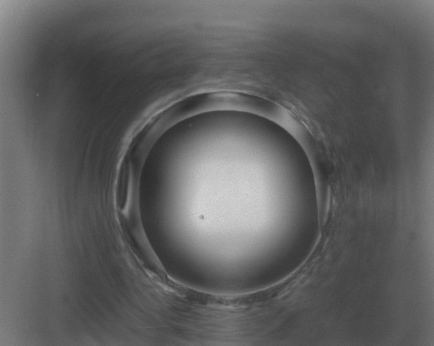 X0000083000340200702081906