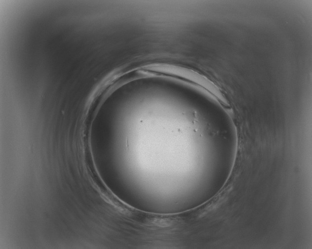 X0000083000341200702081906