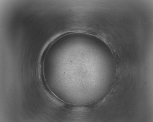 X0000083000342200702081906