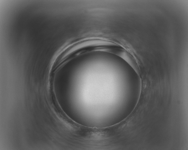 X0000083000344200702081906