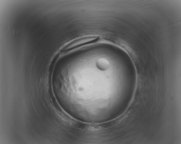 X0000083000346200702081906