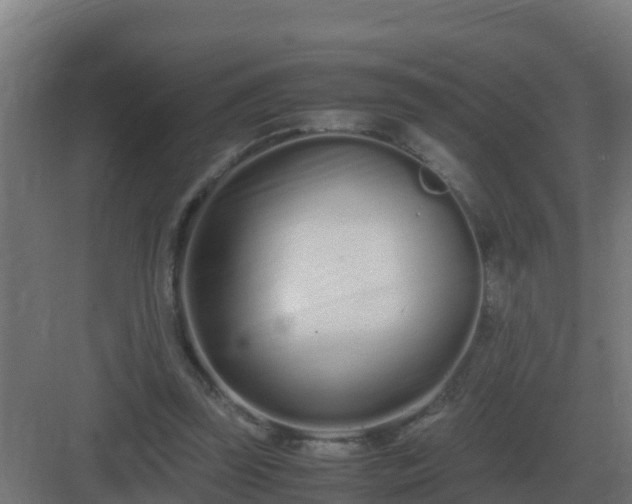 X0000083000347200702081906