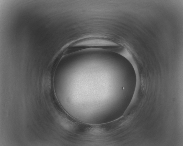 X0000083000348200702081906