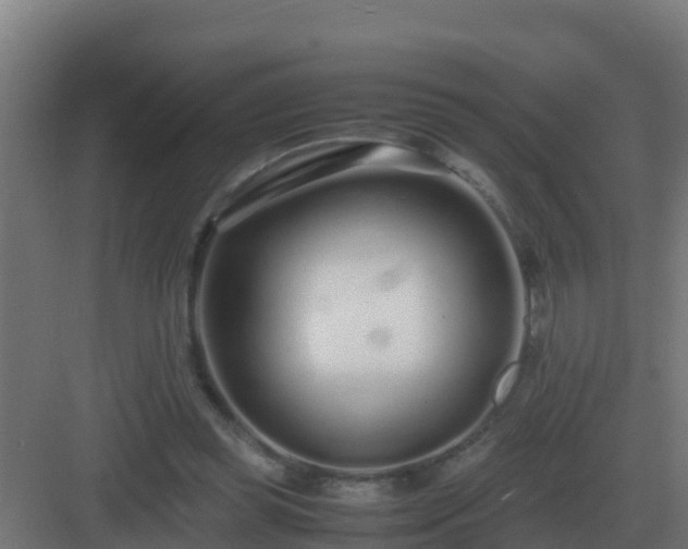 X0000083000349200702081906