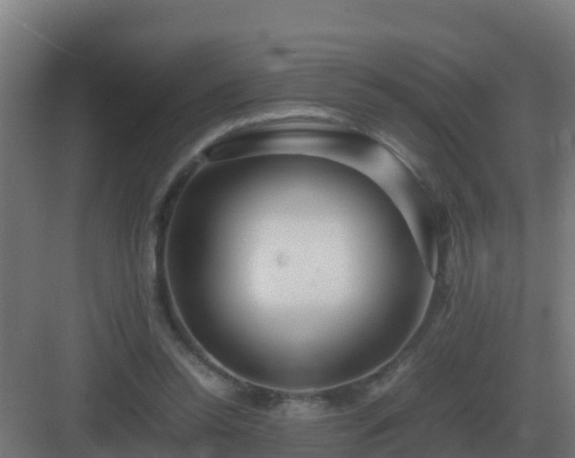 X0000083000350200702081906