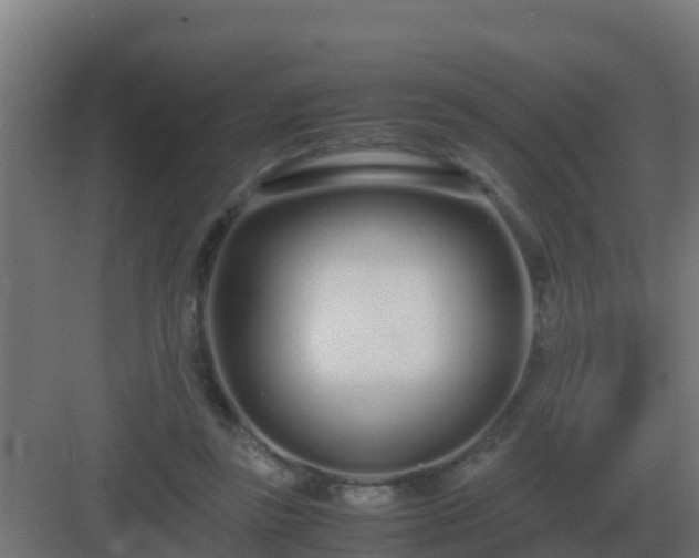 X0000083000355200702081906