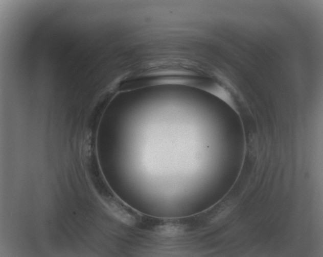 X0000083000356200702081906