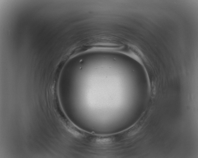 X0000083000357200702081906