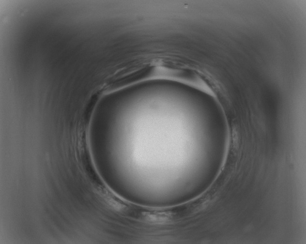 X0000083000359200702081906