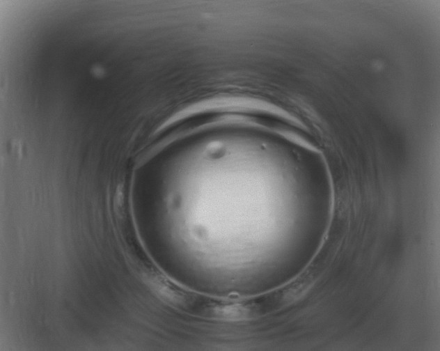 X0000083000365200702081906