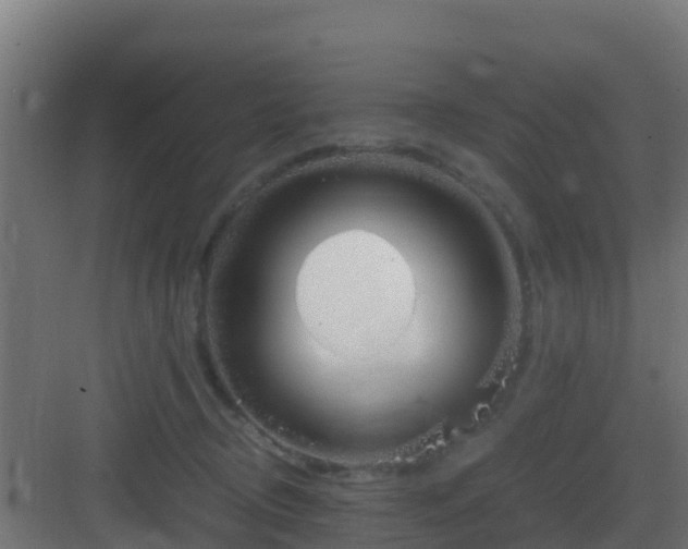 X0000083000370200702081906