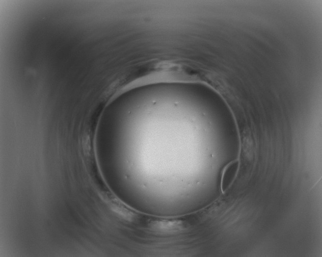 X0000083000375200702081907