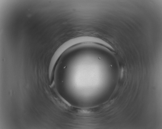 X0000083000380200702081907