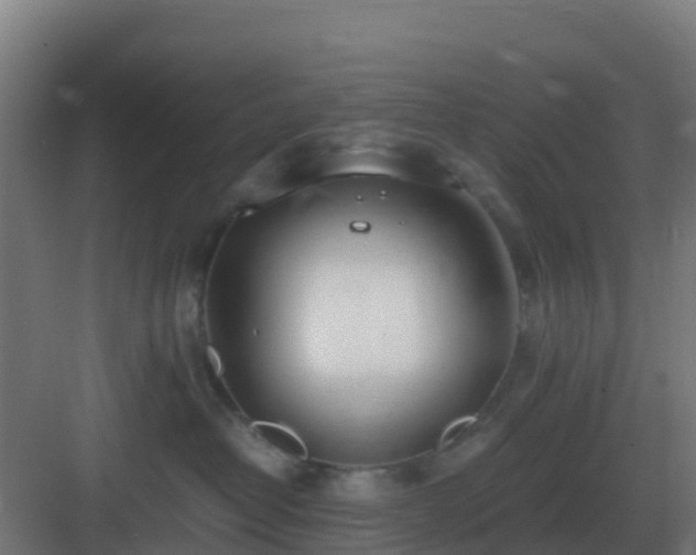 X0000083000382200702081907