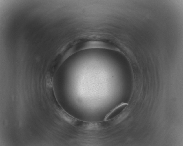 X0000083000384200702081907