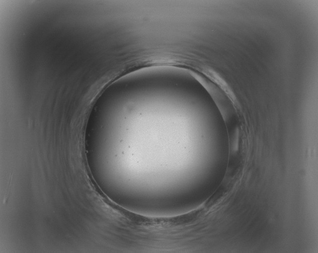 X0000083000385200702081906