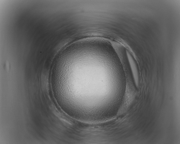 X0000083000386200702081906