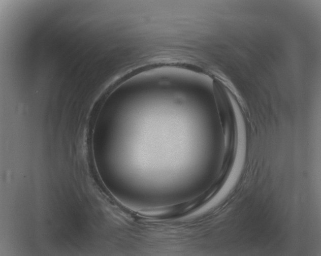 X0000083000387200702081906