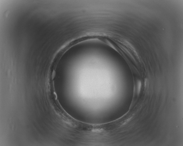 X0000083000388200702081906