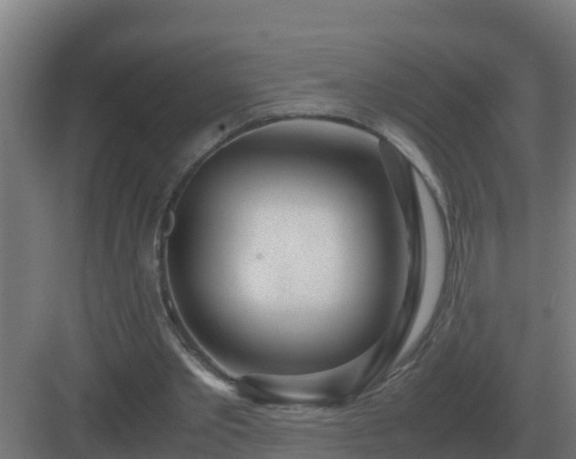 X0000083000389200702081906