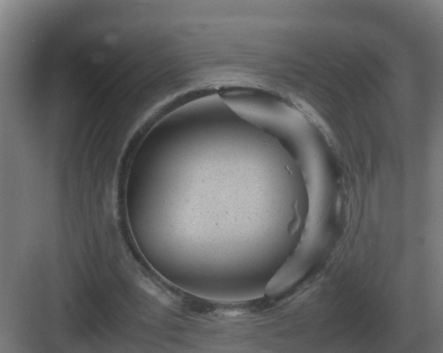 X0000083000391200702081906