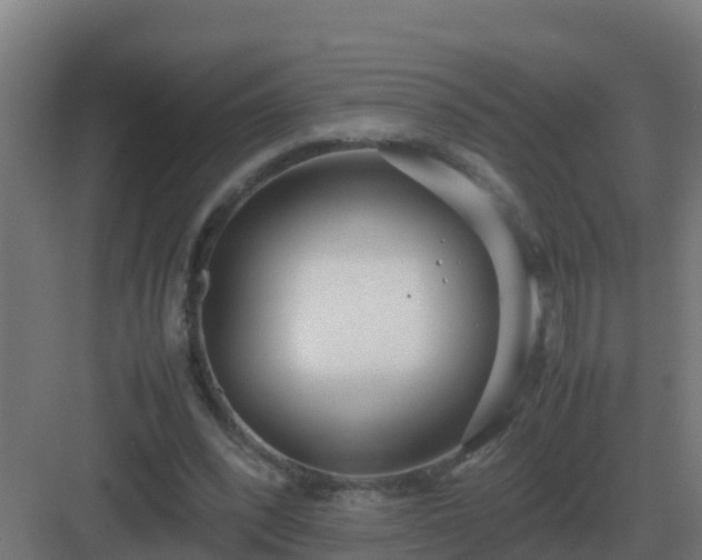 X0000083000392200702081906