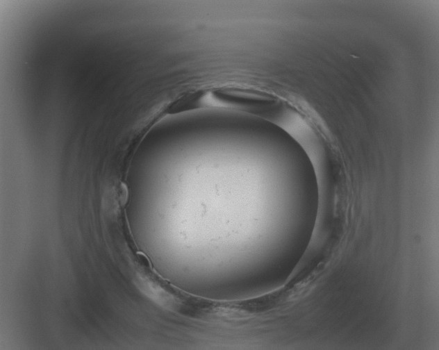 X0000083000393200702081906