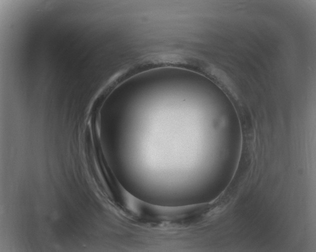 X0000083000395200702081906