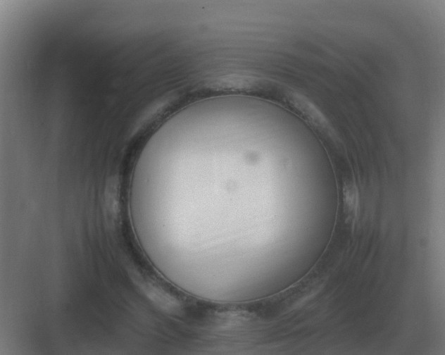 X0000083000396200702081906