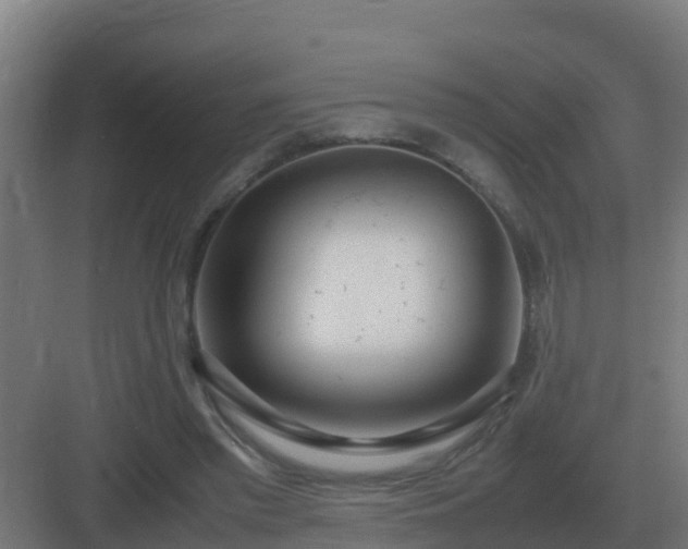 X0000083000397200702081906