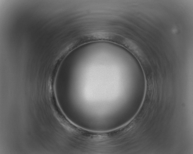 X0000083000398200702081906