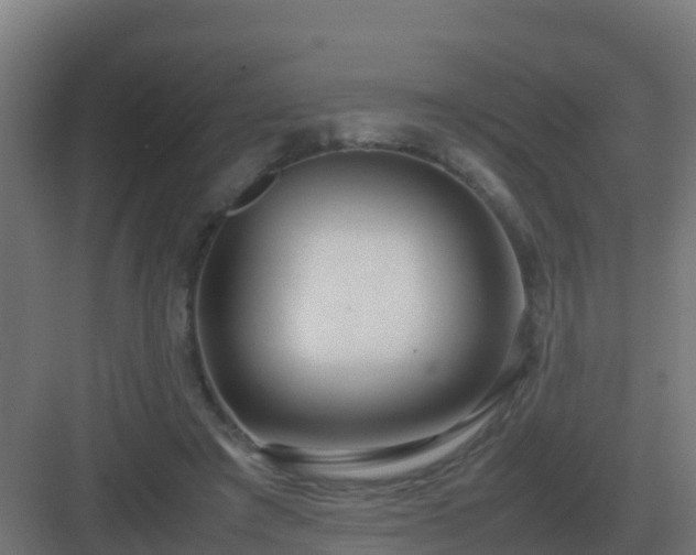 X0000083000401200702081906