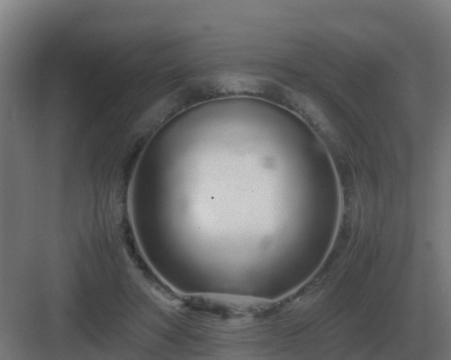 X0000083000402200702081906