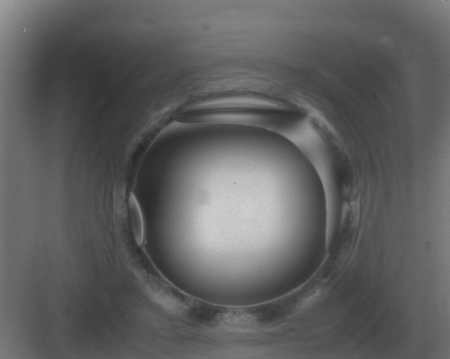 X0000083000403200702081906