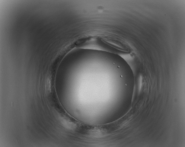 X0000083000404200702081906