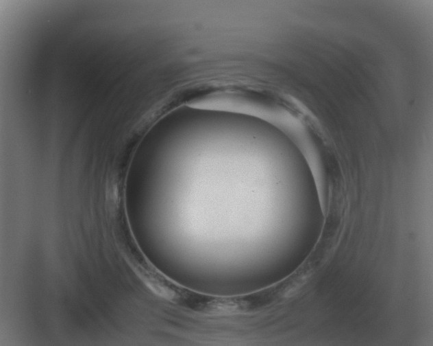 X0000083000405200702081906