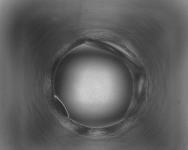 X0000083000407200702081905