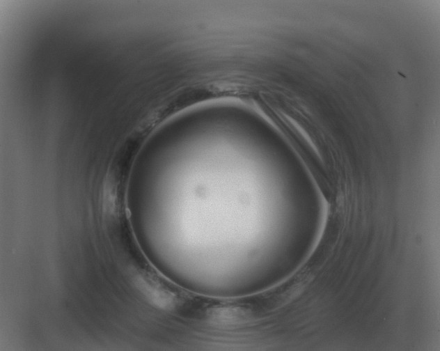 X0000083000408200702081905