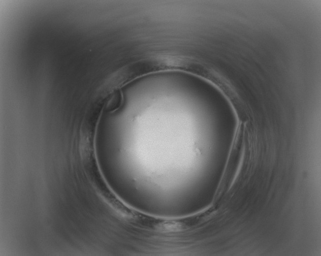 X0000083000410200702081905