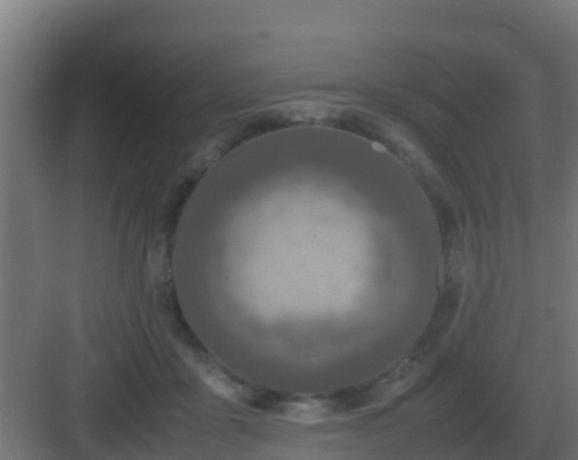 X0000083000411200702081905