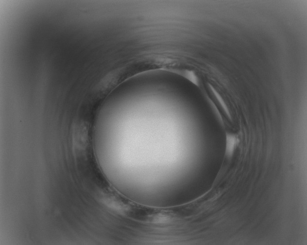 X0000083000412200702081905