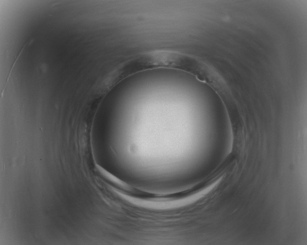 X0000083000413200702081905