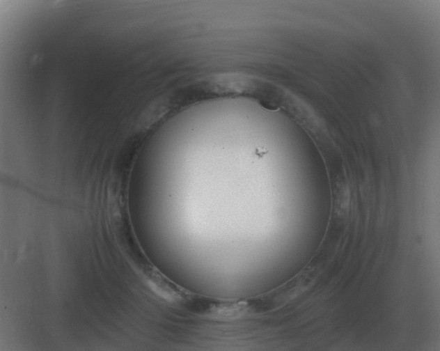 X0000083000414200702081905