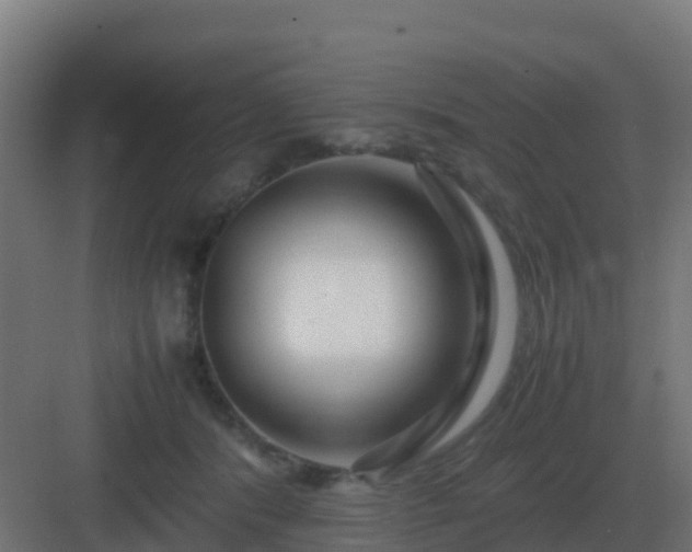 X0000083000416200702081905