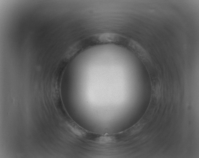 X0000083000418200702081905