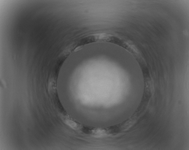 X0000083000419200702081905