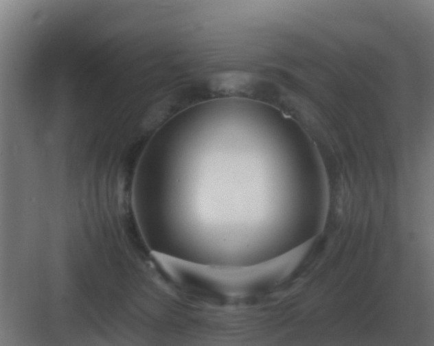 X0000083000420200702081905