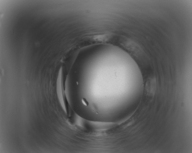 X0000083000424200702081905