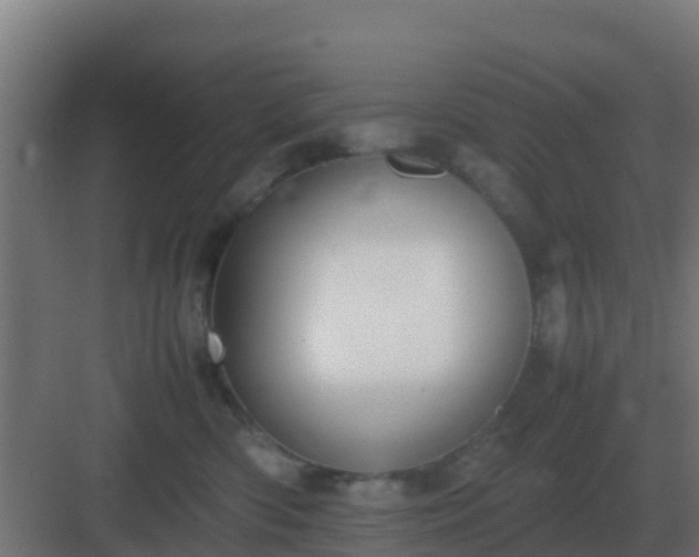 X0000083000426200702081905