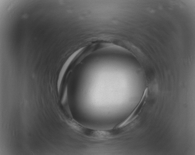 X0000083000429200702081905